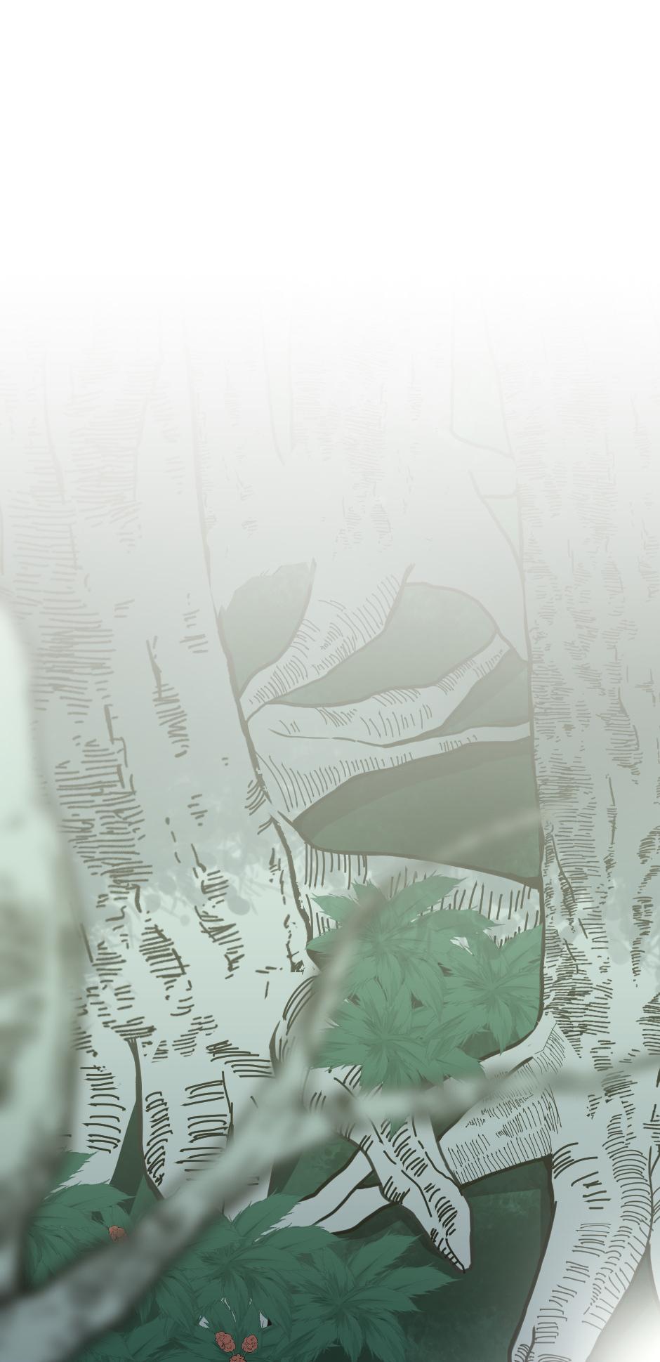 The Beginning After the End Chapter 19 — page 1