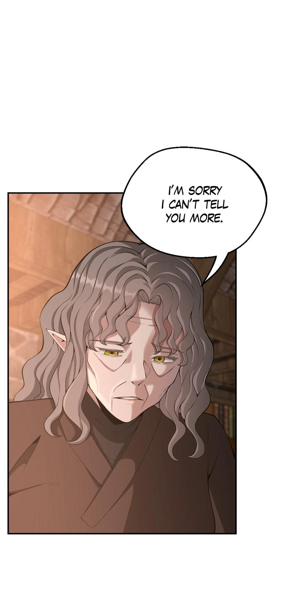 The Beginning After the End Chapter 132 — page 29