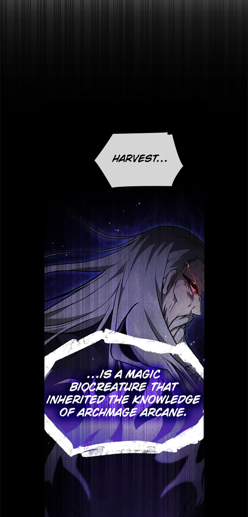 The Infinite Mage Chapter 144 — page 20